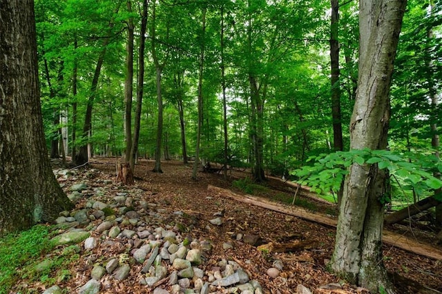 14 Farm Ln, Suffern, NY 10901