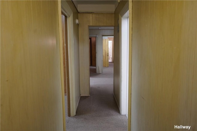 hallway featuring light colored carpet and wooden walls