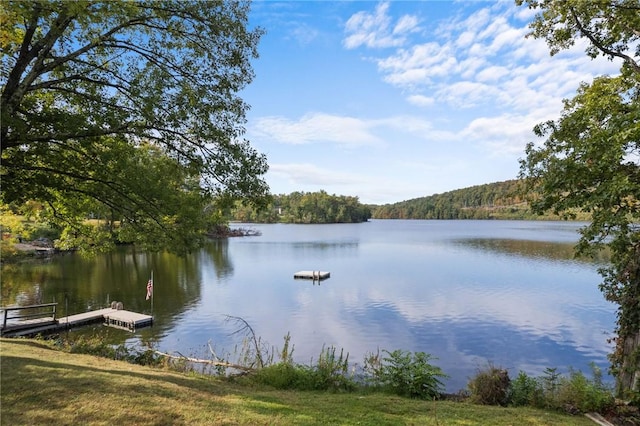 property view of water featuring a boat dock