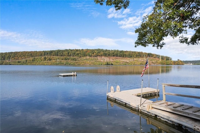 dock area featuring a water view