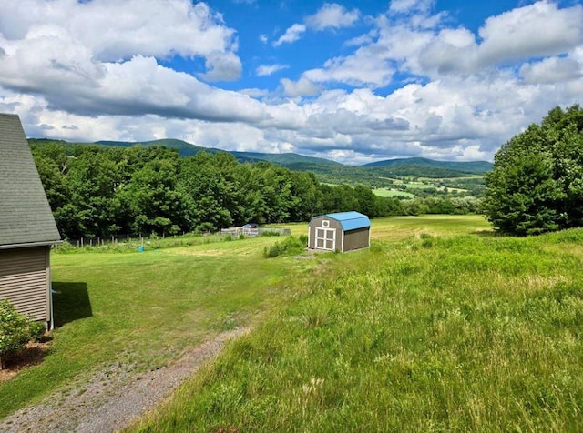 view of yard featuring a mountain view and a storage unit