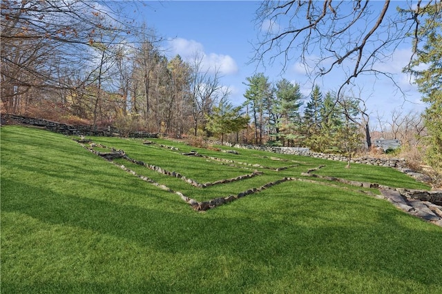 view of yard with a rural view