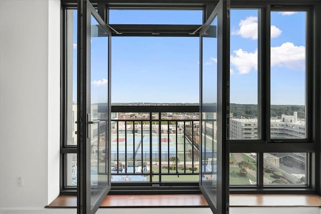 doorway featuring a wealth of natural light and hardwood / wood-style flooring