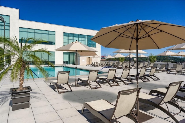 view of pool featuring a patio