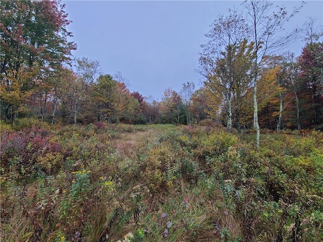 116 Voss Rd, Claryville NY, 12725 land for sale