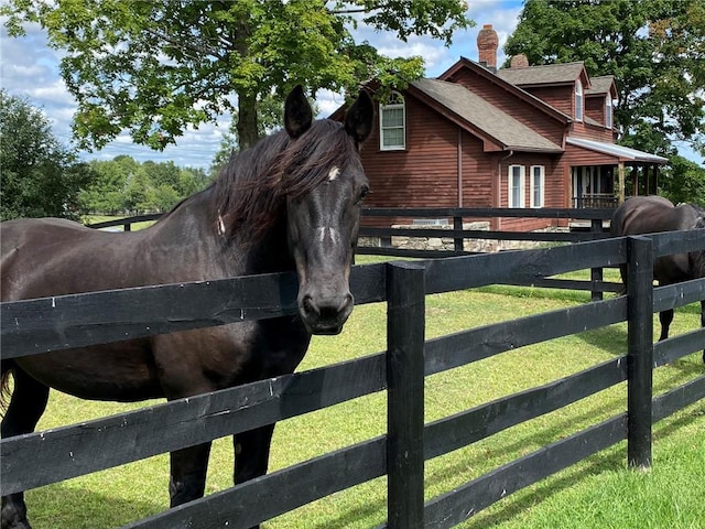 view of horse barn