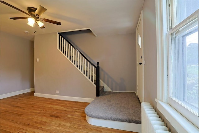 foyer entrance with ceiling fan, radiator, and light hardwood / wood-style flooring