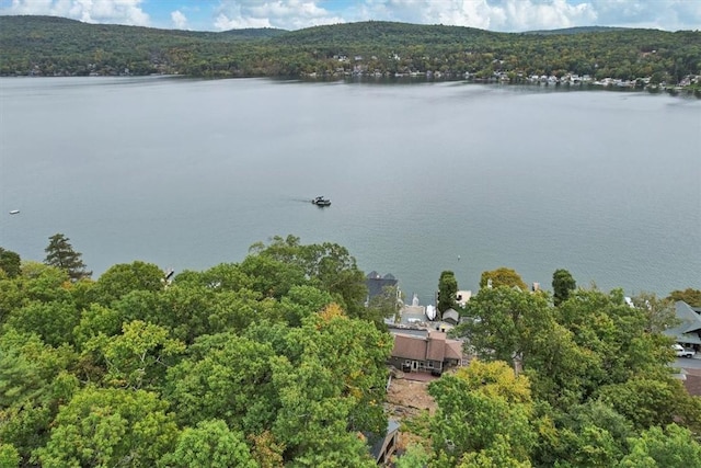 aerial view featuring a water and mountain view