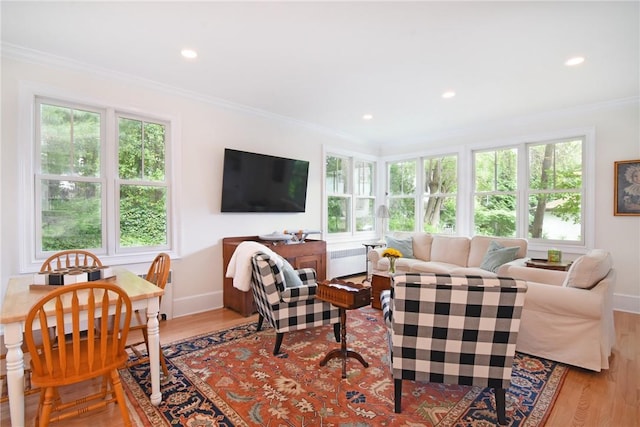 living room featuring plenty of natural light, light hardwood / wood-style floors, and crown molding