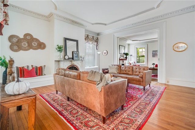 living room with wood-type flooring and crown molding