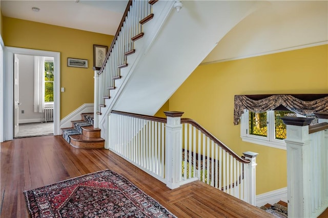 stairway with hardwood / wood-style flooring and radiator