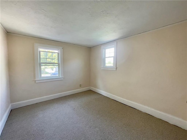 unfurnished room featuring carpet