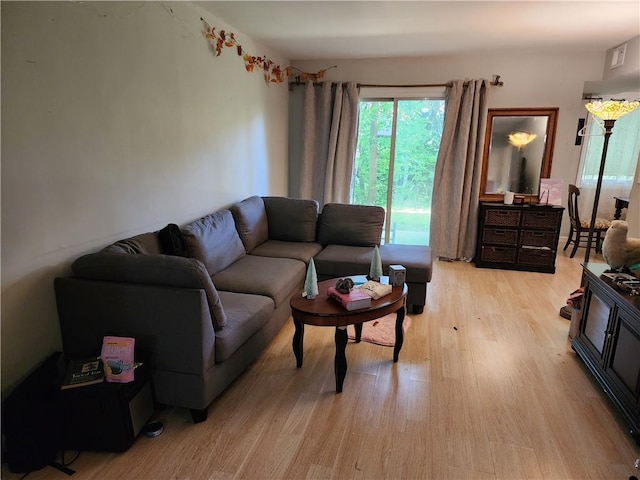 living room with light hardwood / wood-style floors