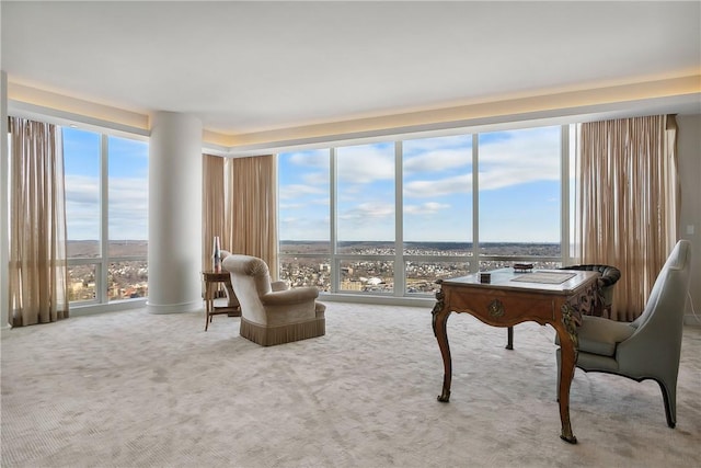 carpeted living room featuring plenty of natural light