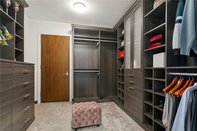 spacious closet featuring light carpet