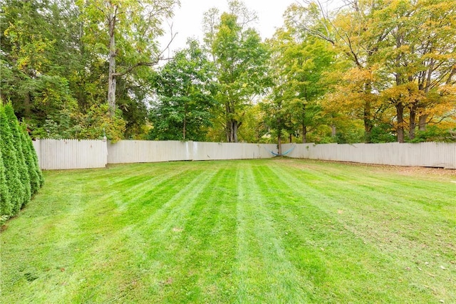 54 Midway Ave, Amenia, NY 12501 - photo 21