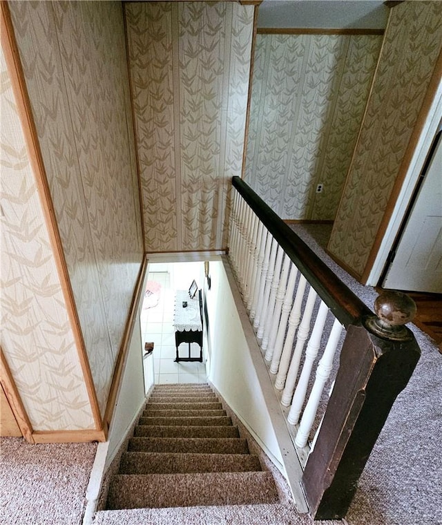 stairs featuring carpet flooring