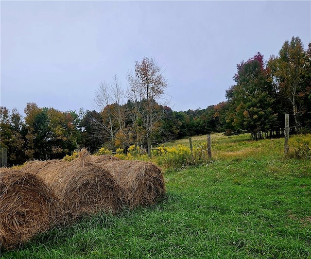 view of nature featuring a rural view