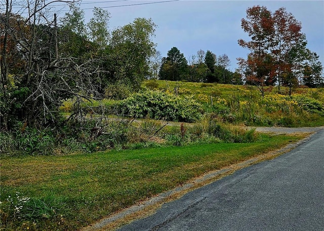 view of road