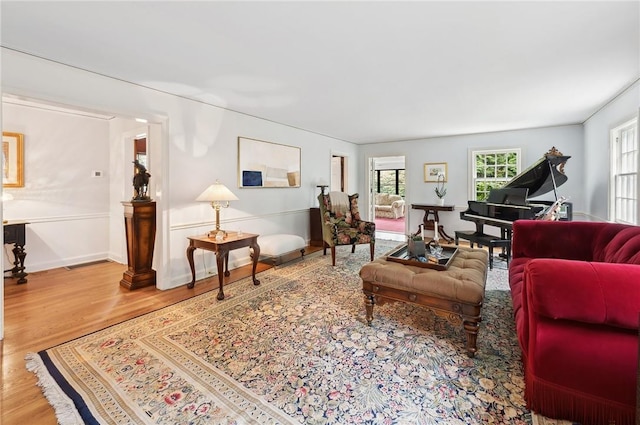 living room featuring wood-type flooring