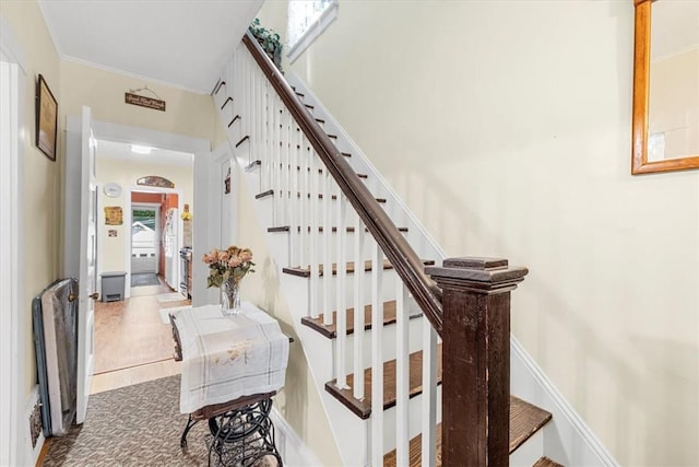 stairs with crown molding and hardwood / wood-style floors