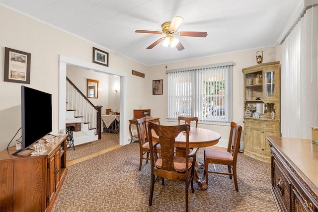 carpeted dining room with ceiling fan and ornamental molding