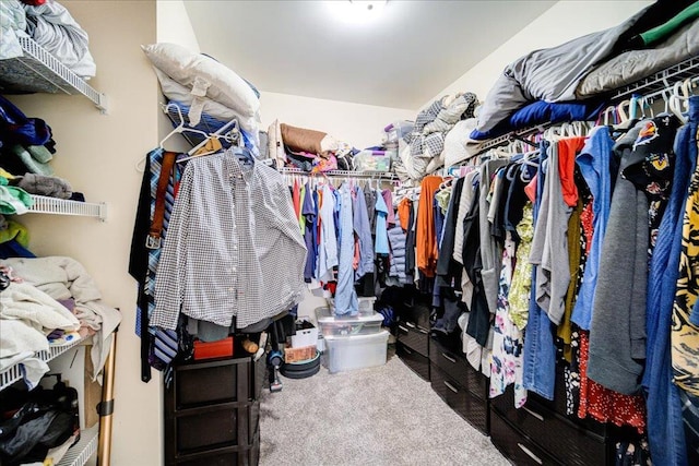 spacious closet with carpet