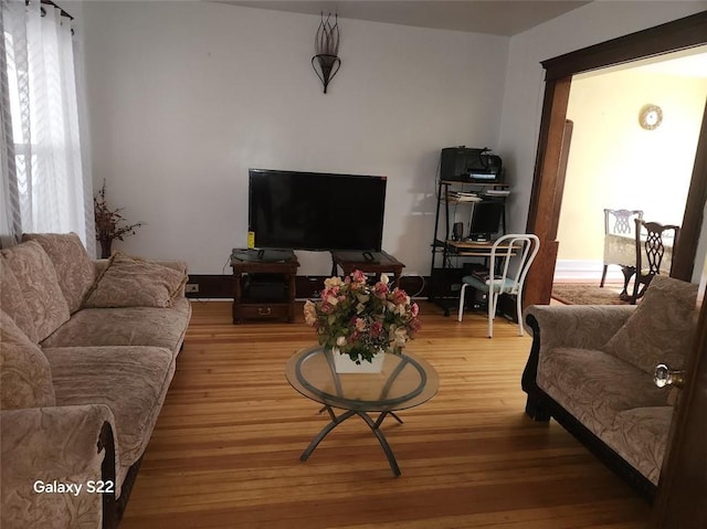 living room with wood-type flooring