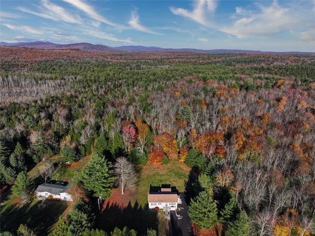 birds eye view of property featuring a mountain view