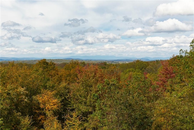 Skidmore Rd, Pleasant Valley NY, 12569 land for sale