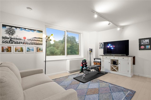 living room featuring light wood-type flooring and rail lighting