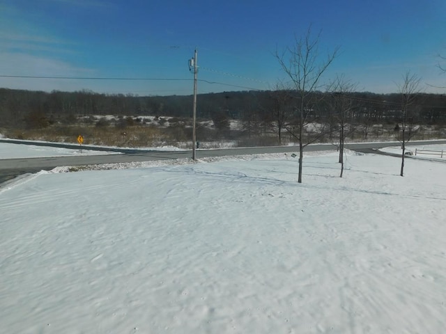 view of snowy yard