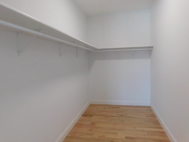 spacious closet featuring light hardwood / wood-style flooring