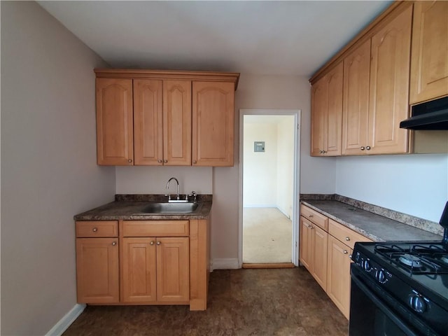 kitchen with sink and black range with gas cooktop