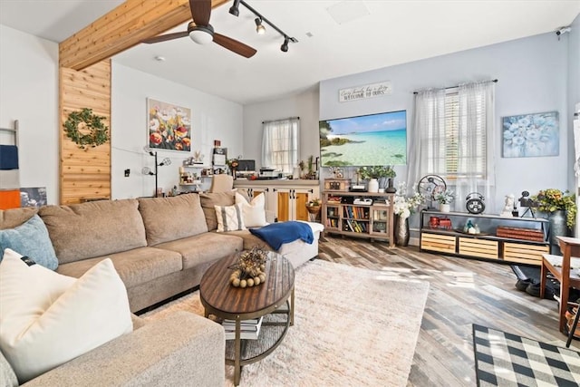 living room with plenty of natural light, wood-type flooring, and wooden walls