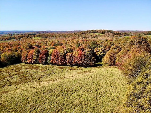 344 Midway Rd, Livingston Manor, NY 12758 - photo 2