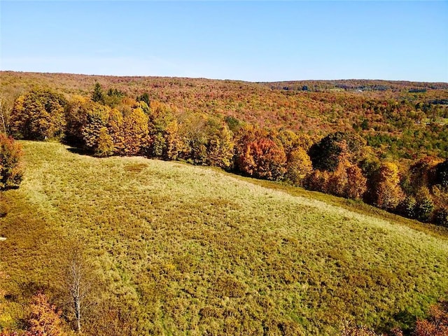 344 Midway Rd, Livingston Manor, NY 12758 - photo 3