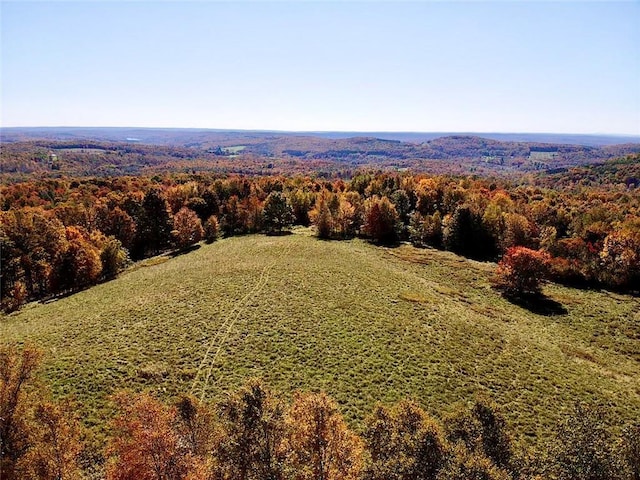 344 Midway Rd, Livingston Manor, NY 12758 - photo 4