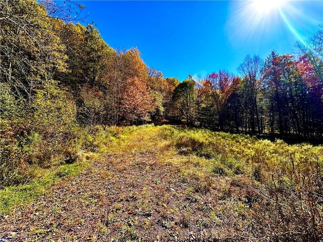 344 Midway Rd, Livingston Manor, NY 12758 - photo 5