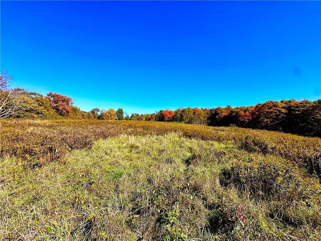 344 Midway Rd, Livingston Manor, NY 12758 - photo 8