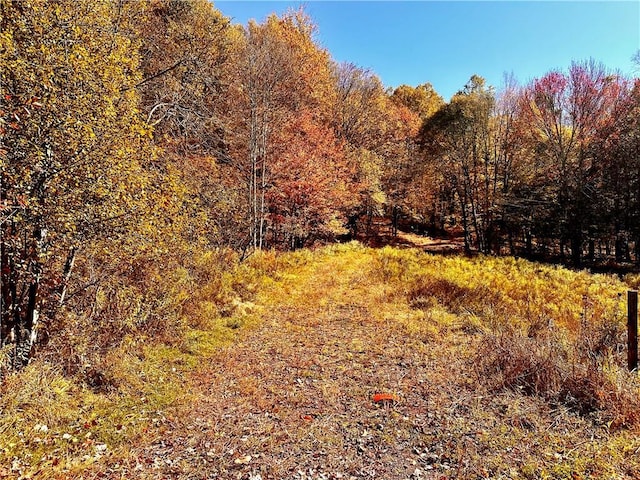 344 Midway Rd, Livingston Manor, NY 12758 - photo 9