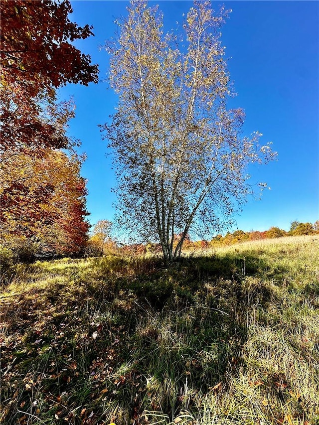 344 Midway Rd, Livingston Manor, NY 12758 - photo 15