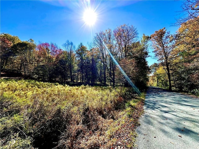 344 Midway Rd, Livingston Manor, NY 12758 - photo 17