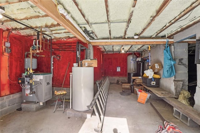 basement with water heater