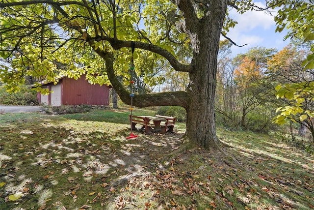 view of yard with an outbuilding