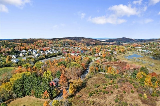 drone / aerial view with a mountain view