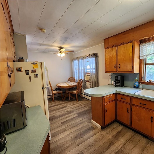 kitchen featuring kitchen peninsula, ceiling fan, sink, white refrigerator, and light hardwood / wood-style flooring