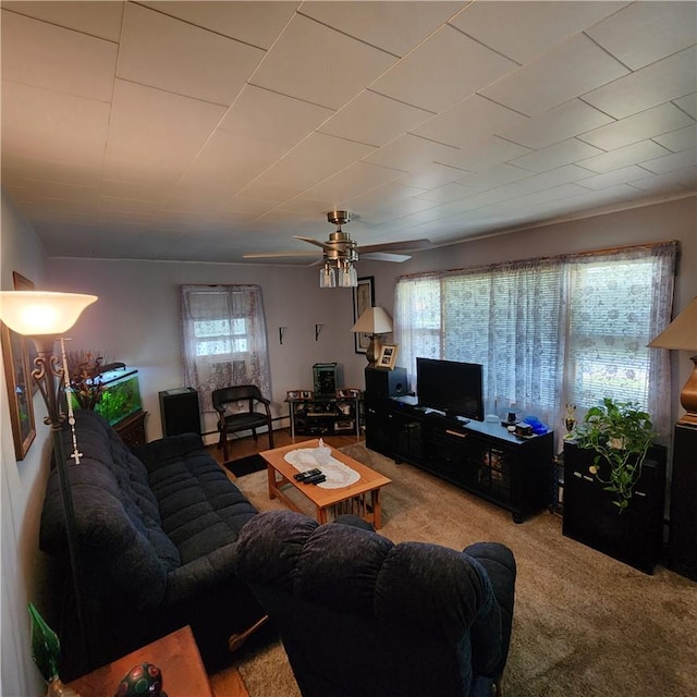 carpeted living room with ceiling fan and a baseboard heating unit