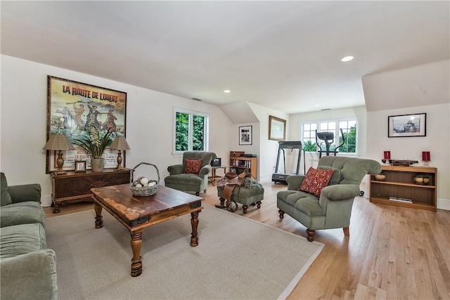 living room with light hardwood / wood-style flooring and a healthy amount of sunlight