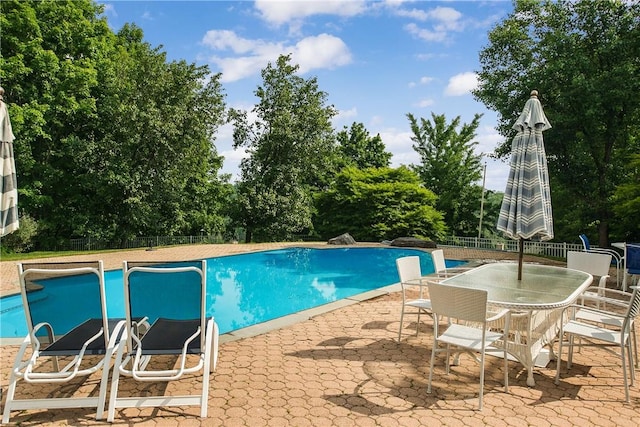 view of swimming pool with a patio area